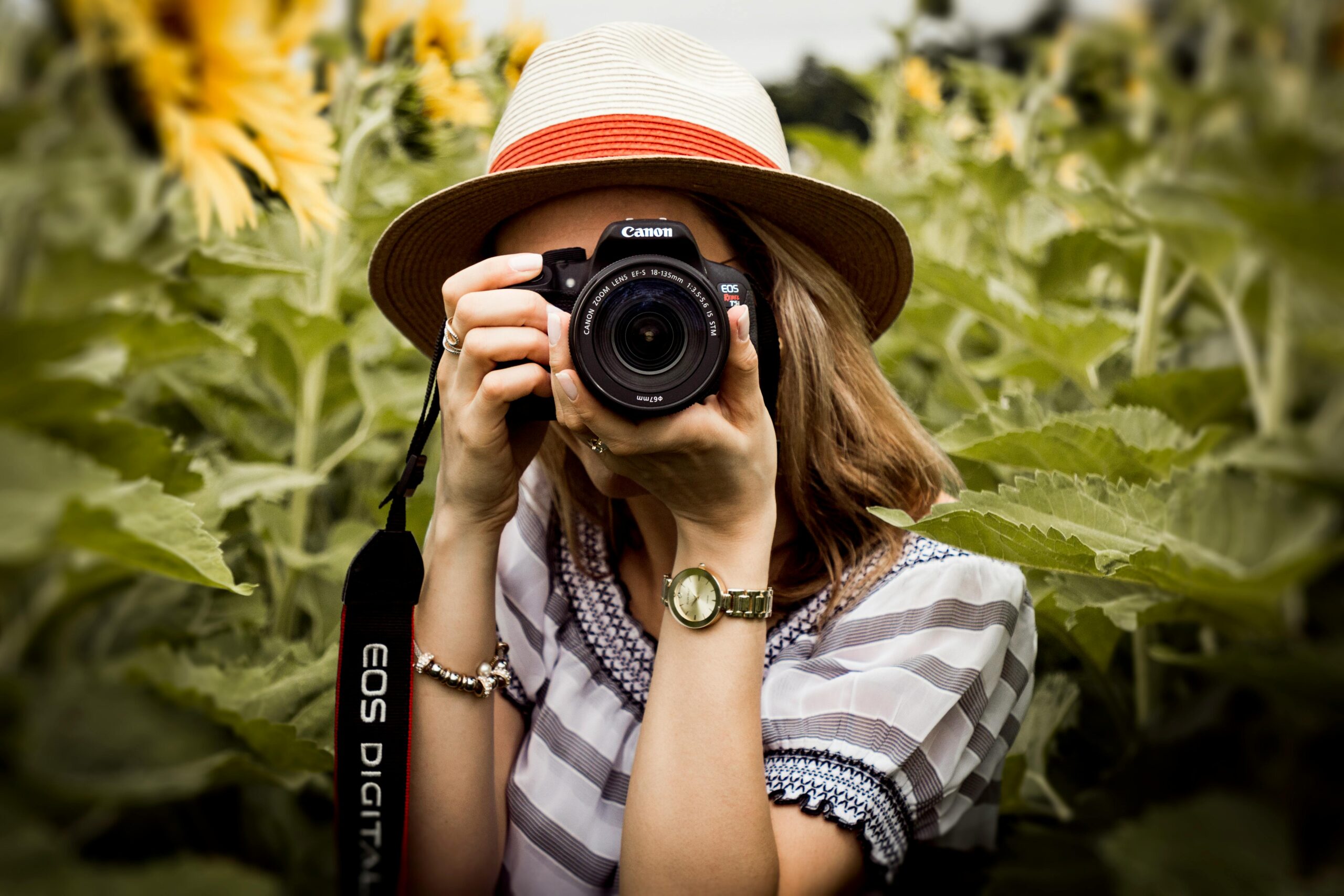 Woman with hat photographing sunflowers in a summer field using a Canon camera.